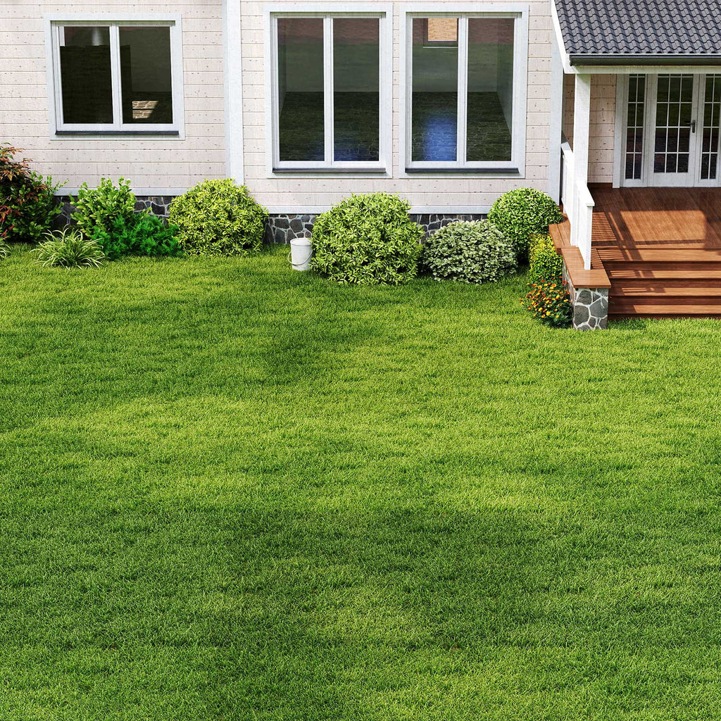 XL Indoor Outdoor Synthetic Turf Mat with Drainage Holes - Realistic Look