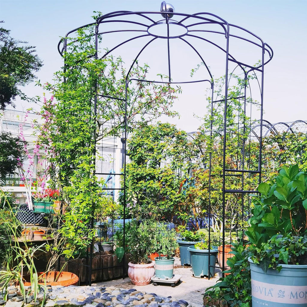 Birdcage Shape Gazebo for Climbing Plants and Wedding Ceremony