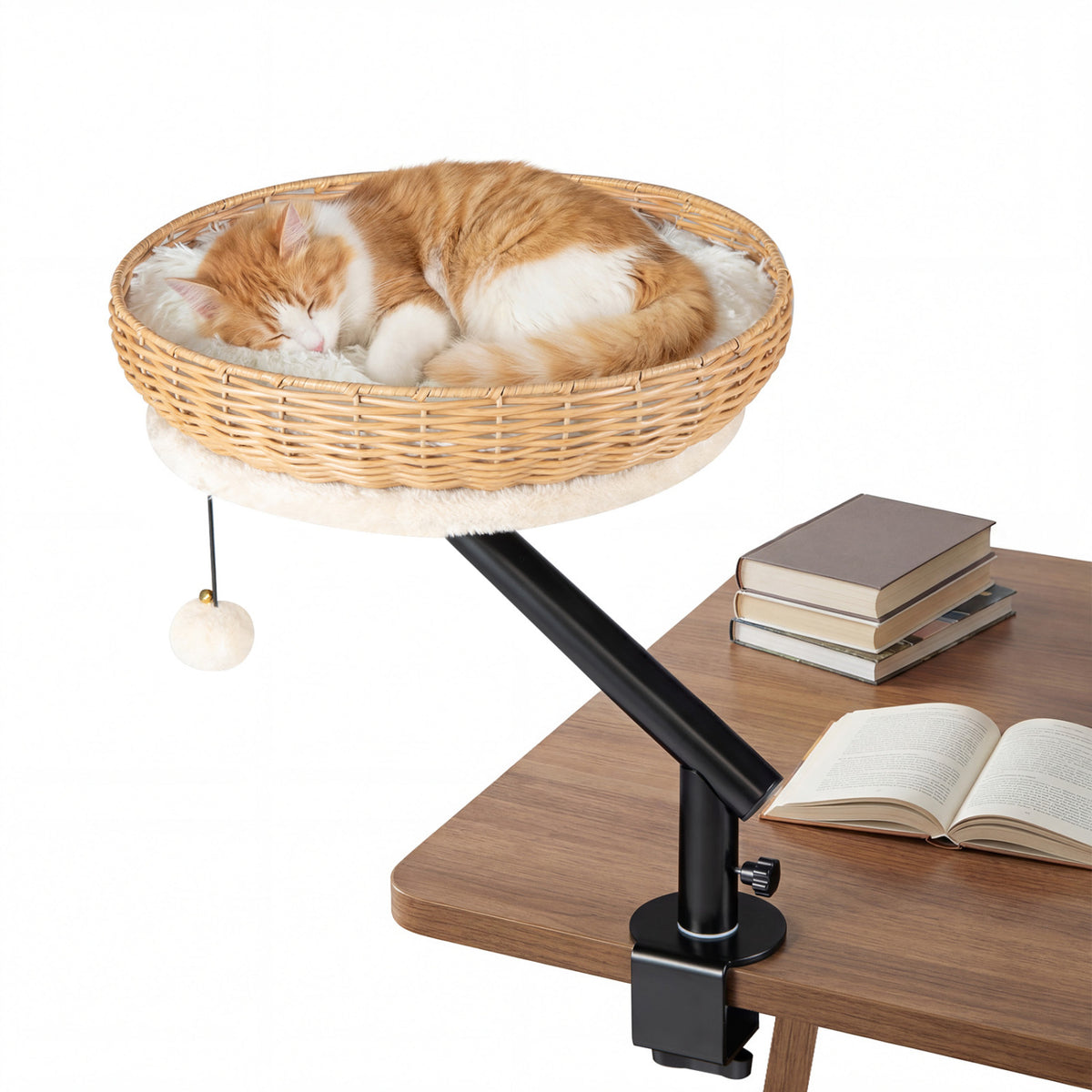 Natural Cat Desk Bed with Removable Cushion - Indoor Cat Furniture
