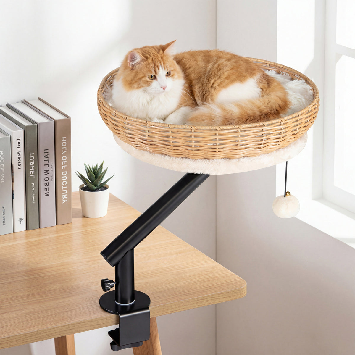 Natural Cat Desk Bed with Removable Cushion - Indoor Cat Furniture