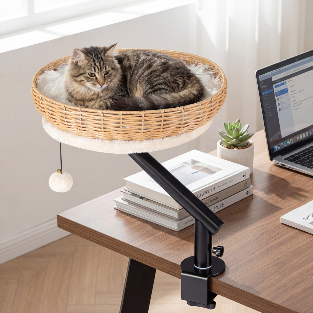 Natural Cat Desk Bed with Removable Cushion - Indoor Cat Furniture