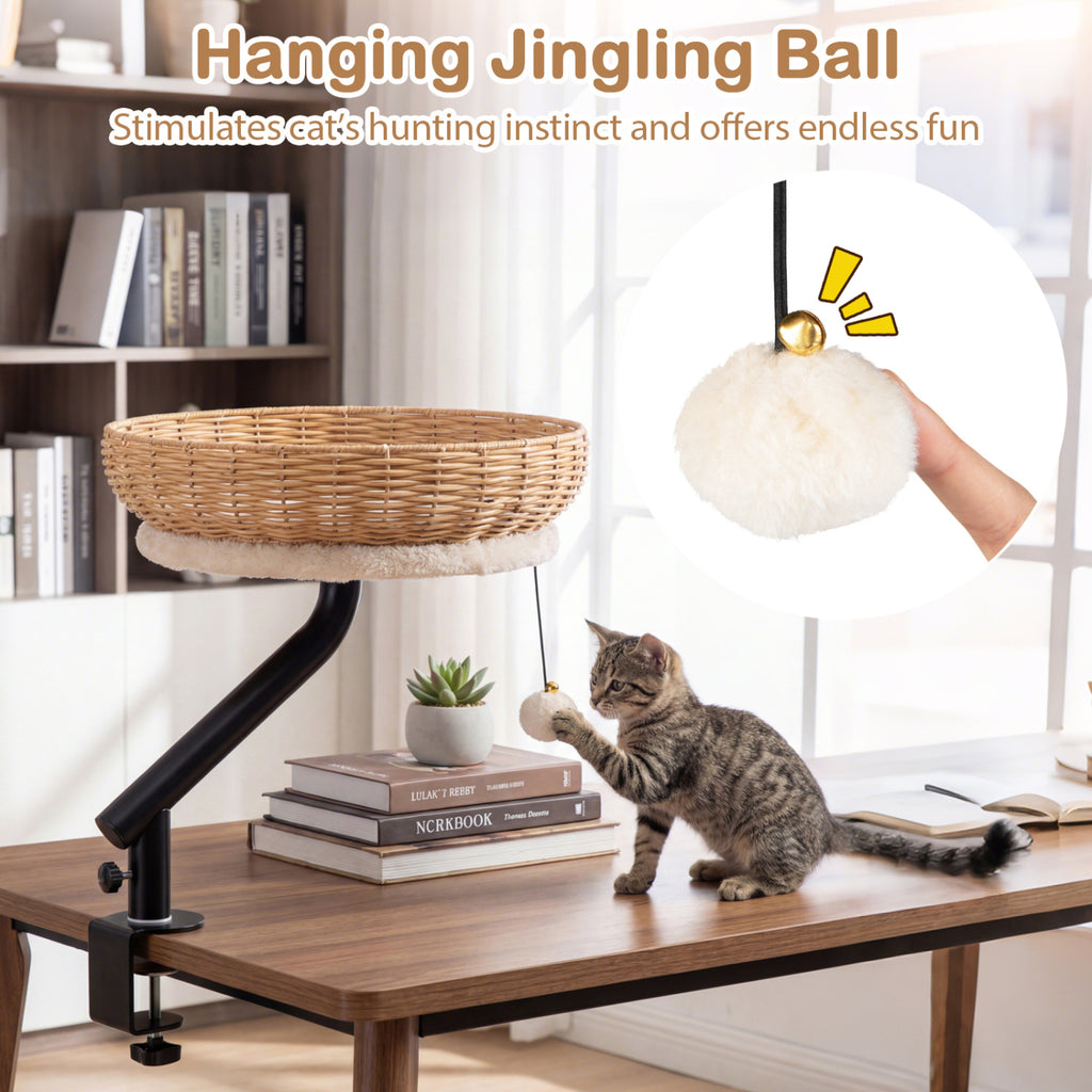 Natural Cat Desk Bed with Removable Cushion - Indoor Cat Furniture