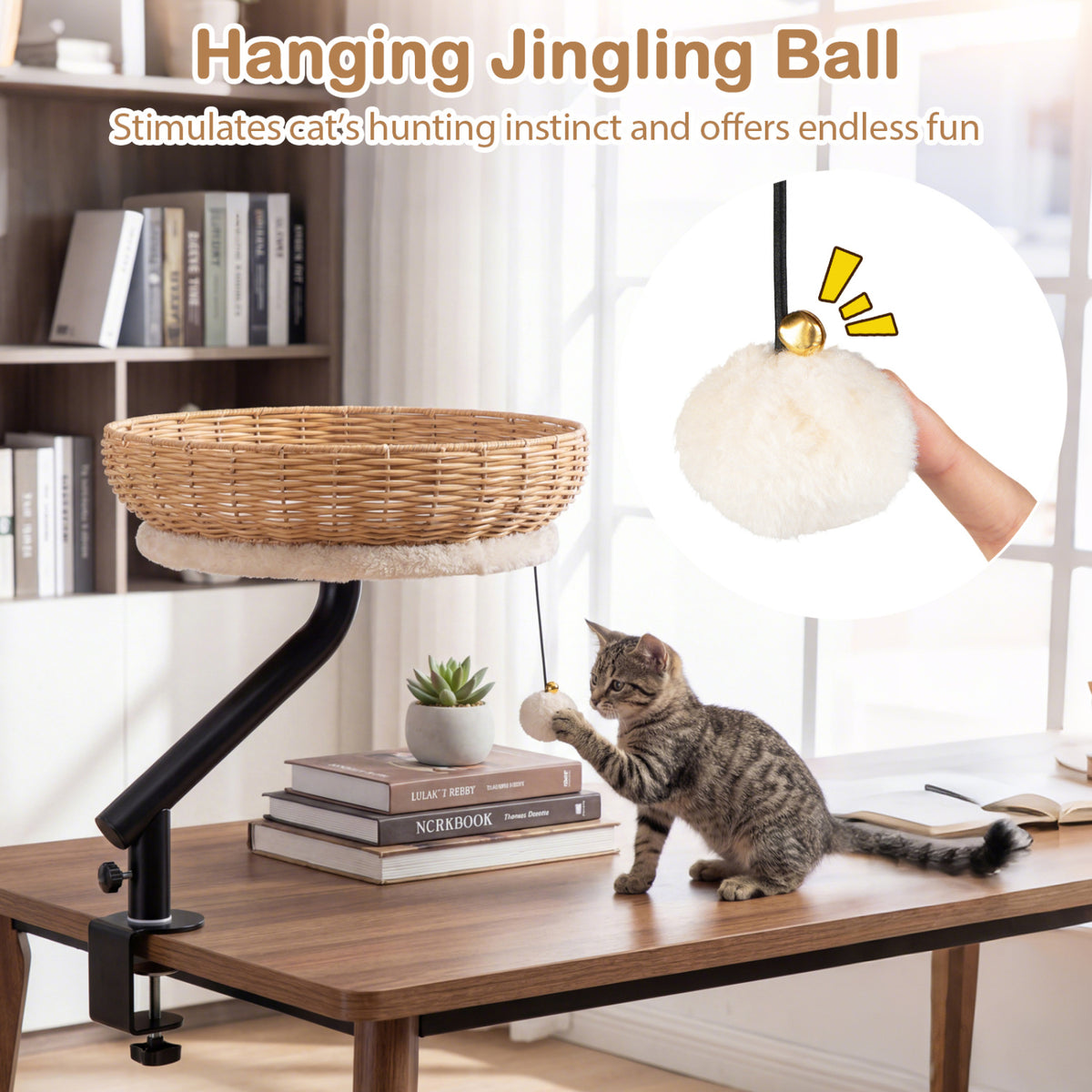Natural Cat Desk Bed with Removable Cushion - Indoor Cat Furniture