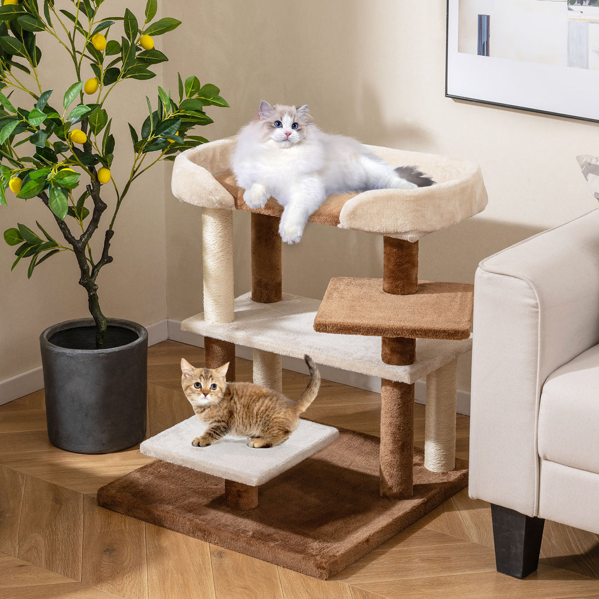 Brown 2-in-1 Cat Tree Tower with Sisal Scratching Posts & Large Platforms - Pet Steps