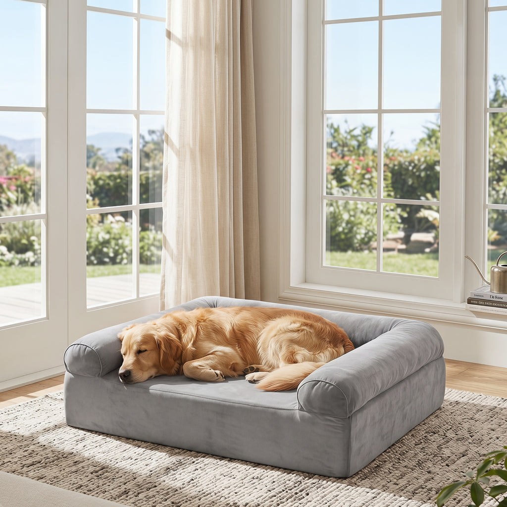 Cooling Gel Memory Foam Dog Bed with Washable Cover - 2 Colors, Medium Dogs