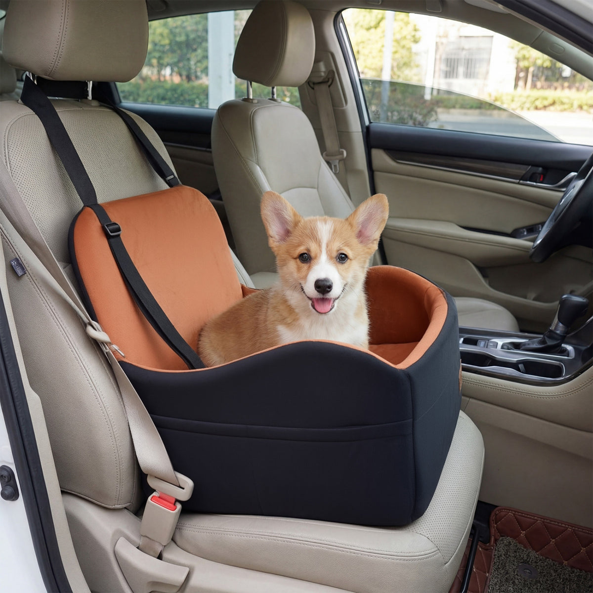 Small Detachable Dog Booster Car Seat for Front and Back Seat - Elevated & Cozy