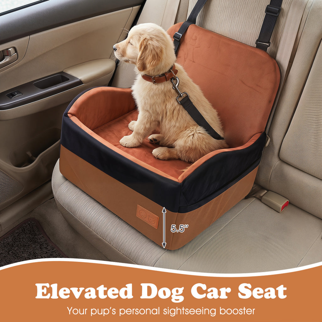 Small Detachable Dog Booster Car Seat for Front and Back Seat - Elevated & Cozy