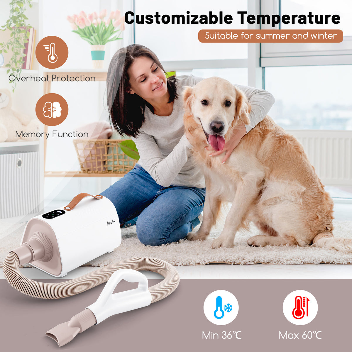 Dog Cat Hair Blower with Negative Ion Function and Adjustable Temperature - Variation of THIS listing
