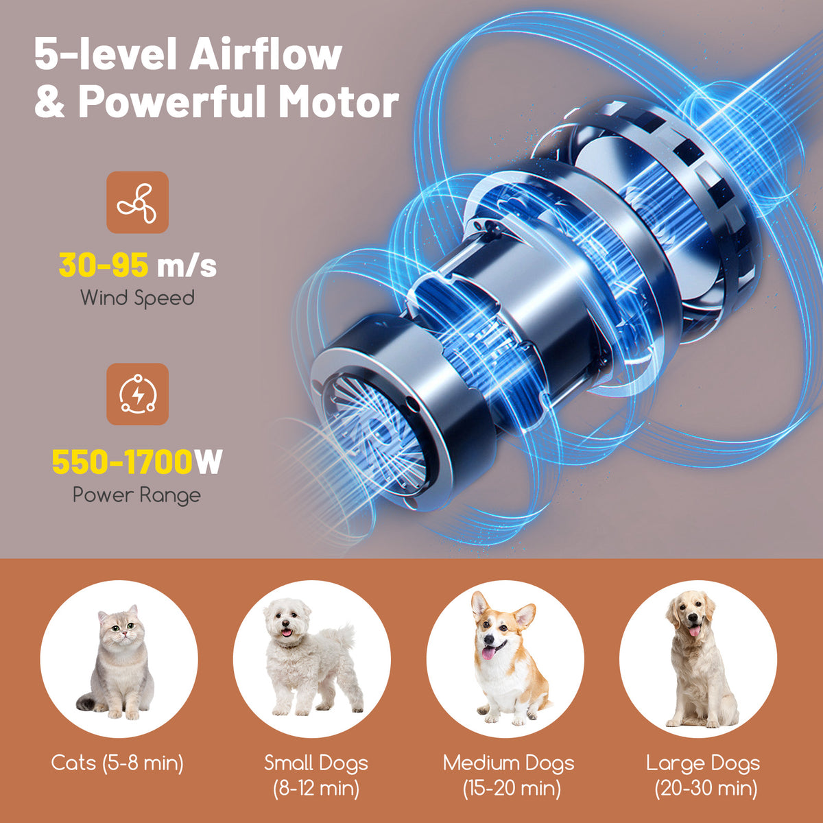 Dog Cat Hair Blower with Negative Ion Function and Adjustable Temperature - Variation of THIS listing
