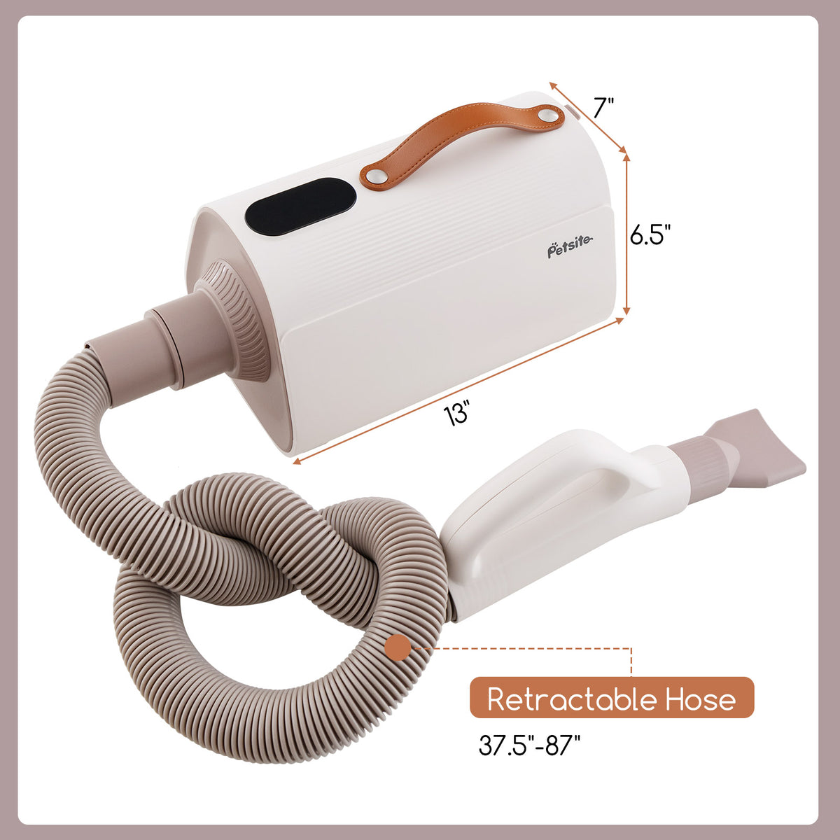 Dog Cat Hair Blower with Negative Ion Function and Adjustable Temperature - Variation of THIS listing