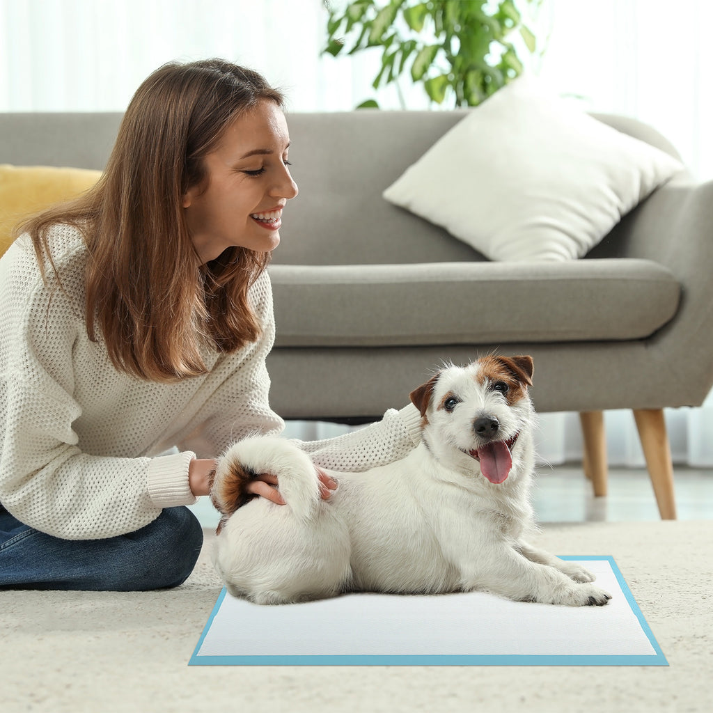 Dog and Puppy Pee Pads 24x17 Inches, 300 Count, Blue - Leakproof Potty Training Sheets with 5-Layer Absorption