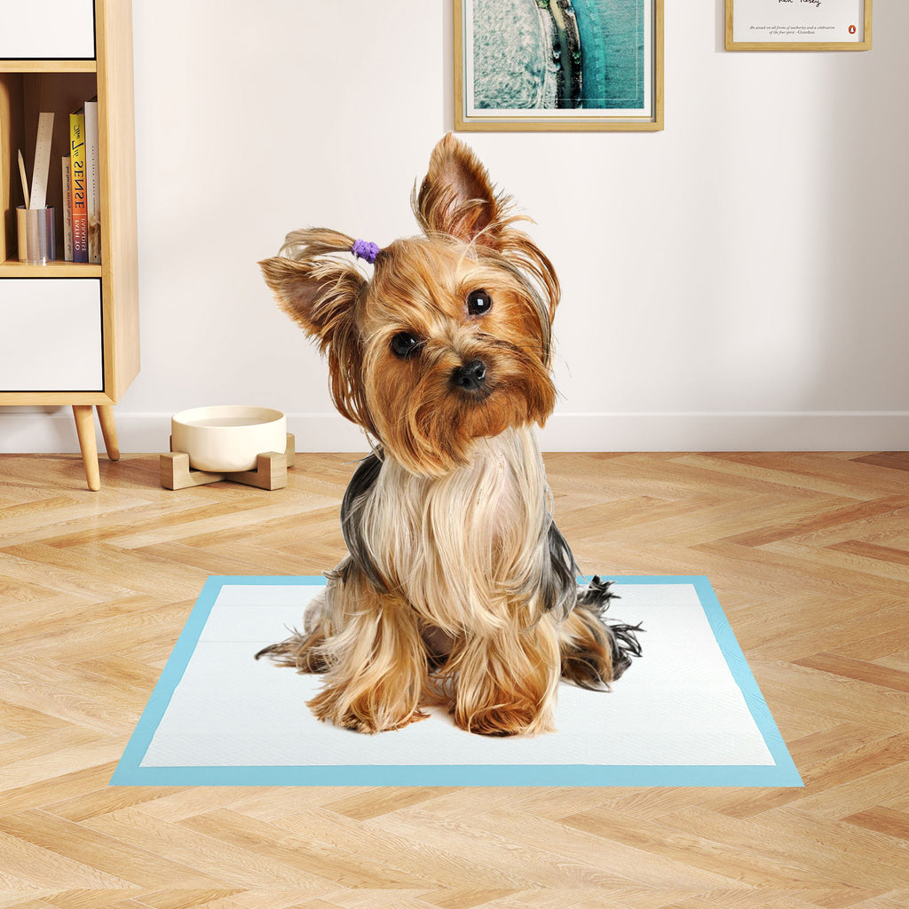 Dog and Puppy Pee Pads 18x13 Inches - Blue, 300 Count, Leakproof Potty Training