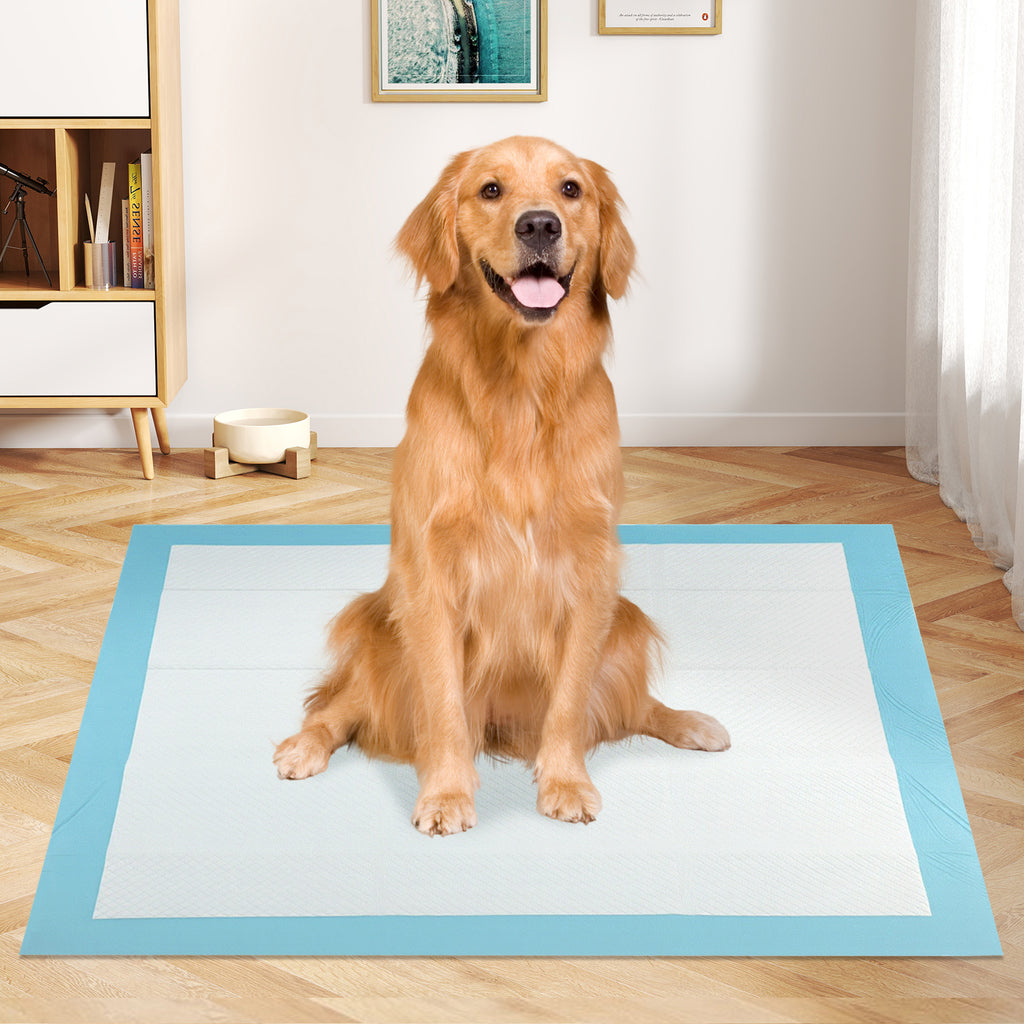 Dog and Puppy Pee Pads 36x36 Inches - 100 Count, Blue, Leak-Proof Potty Training