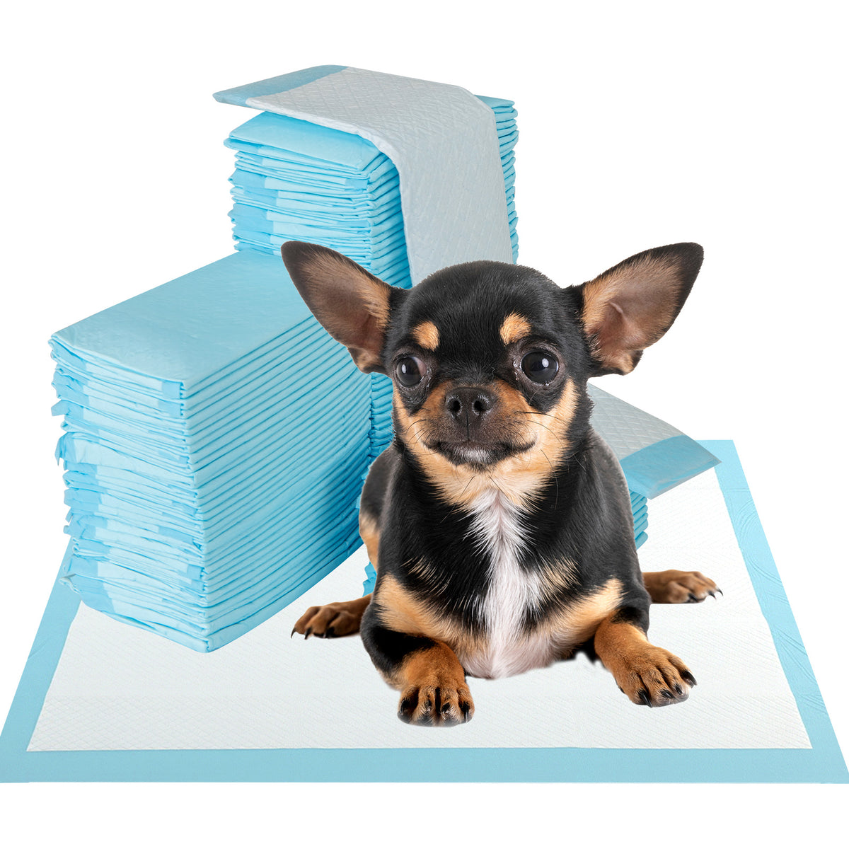 Dog and Puppy Pee Pads 18x13 Inches - Blue, 300 Count, Leakproof Potty Training