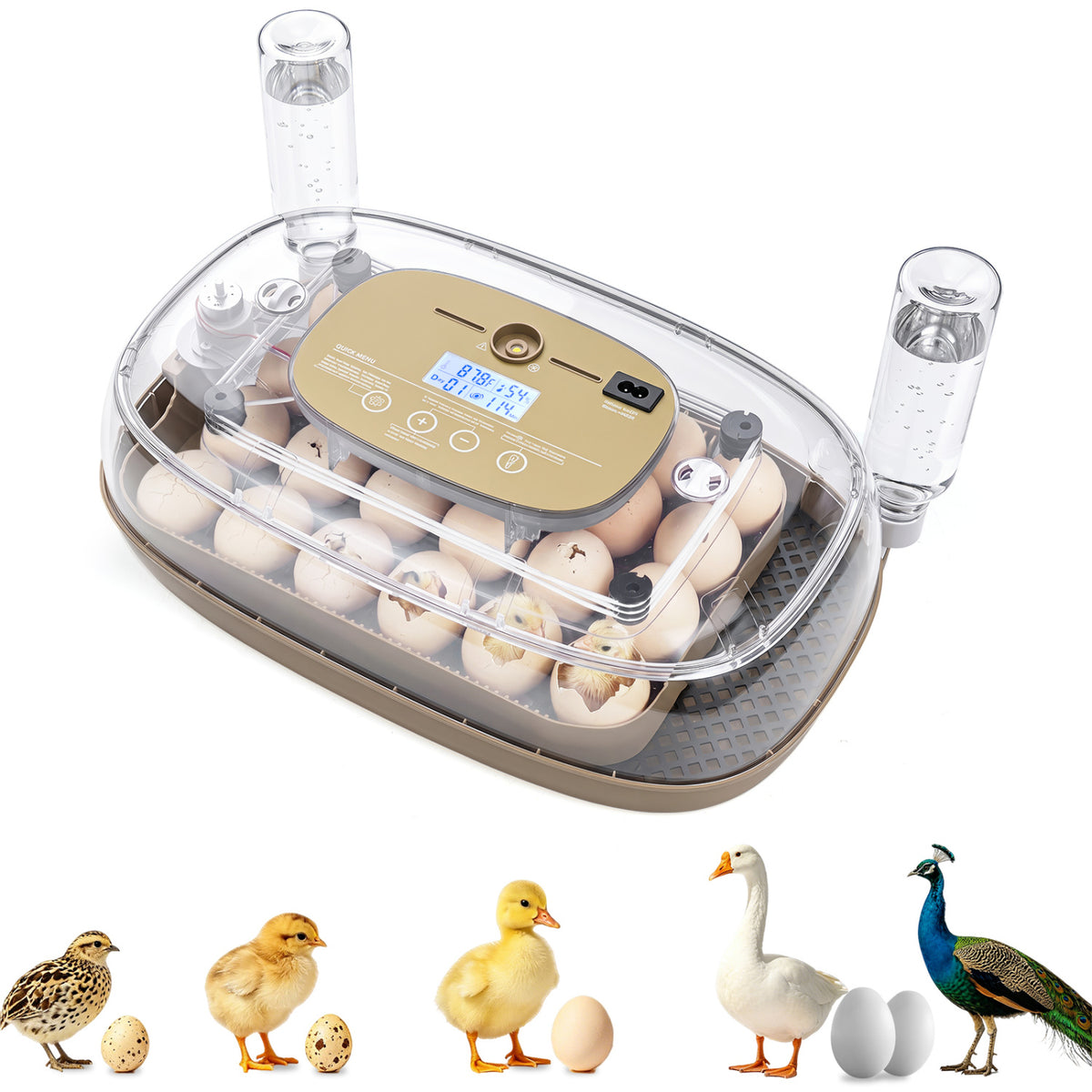 Egg Incubator with Temperature and Humidity Control - 21 Chicken Eggs Capacity - Egg Incubator Variation