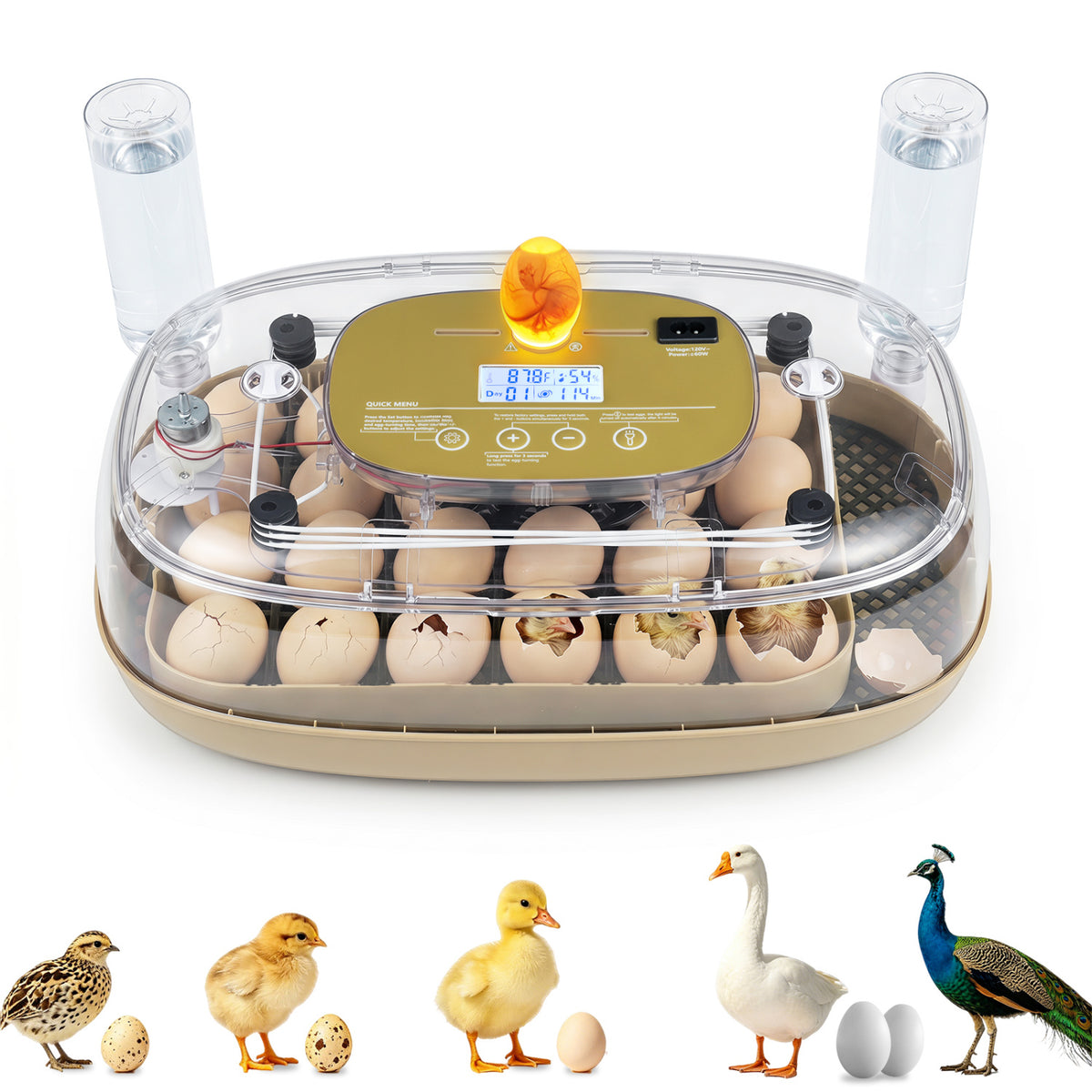 Egg Incubator with Temperature and Humidity Control - 21 Chicken Eggs Capacity - Egg Incubator Variation