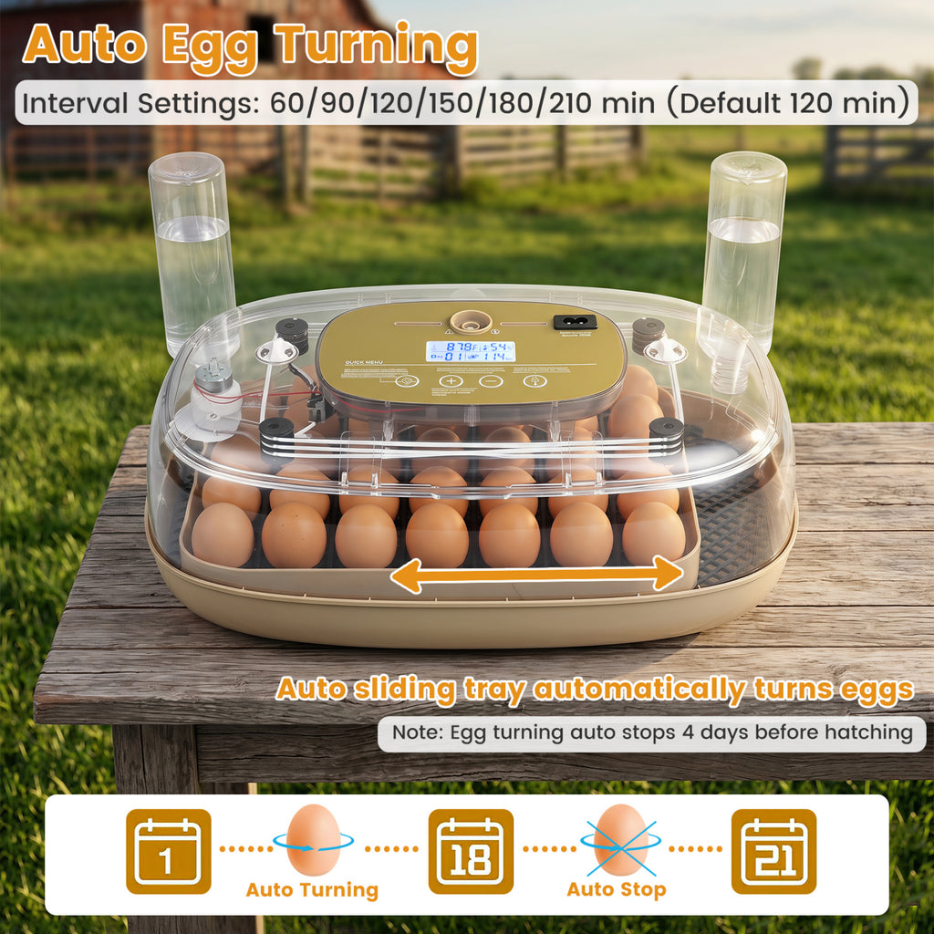 Egg Incubator with Temperature and Humidity Control - 21 Chicken Eggs Capacity - Egg Incubator Variation