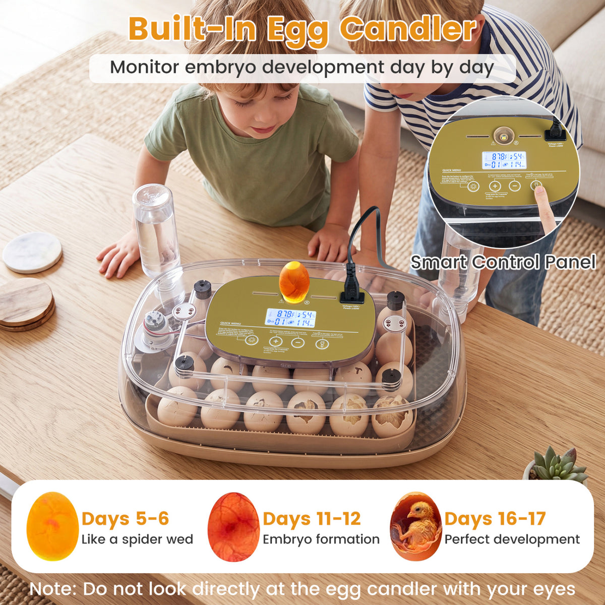 Egg Incubator with Temperature and Humidity Control - 21 Chicken Eggs Capacity - Egg Incubator Variation