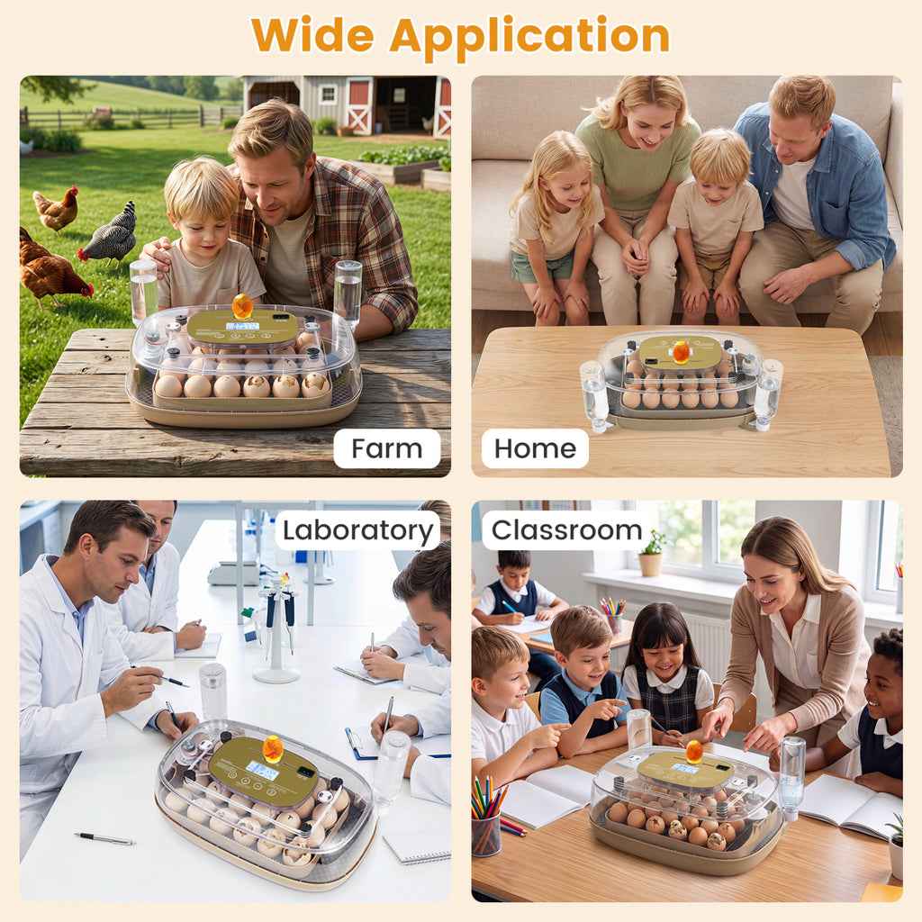 Egg Incubator with Temperature and Humidity Control - 21 Chicken Eggs Capacity - Egg Incubator Variation