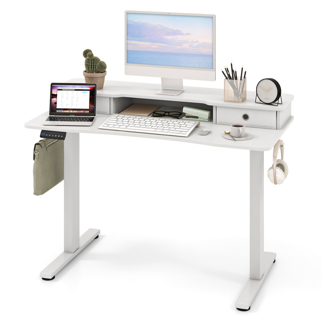 48 Inch x 24 Height Adjustable Electric Standing Desk with 2 Drawers