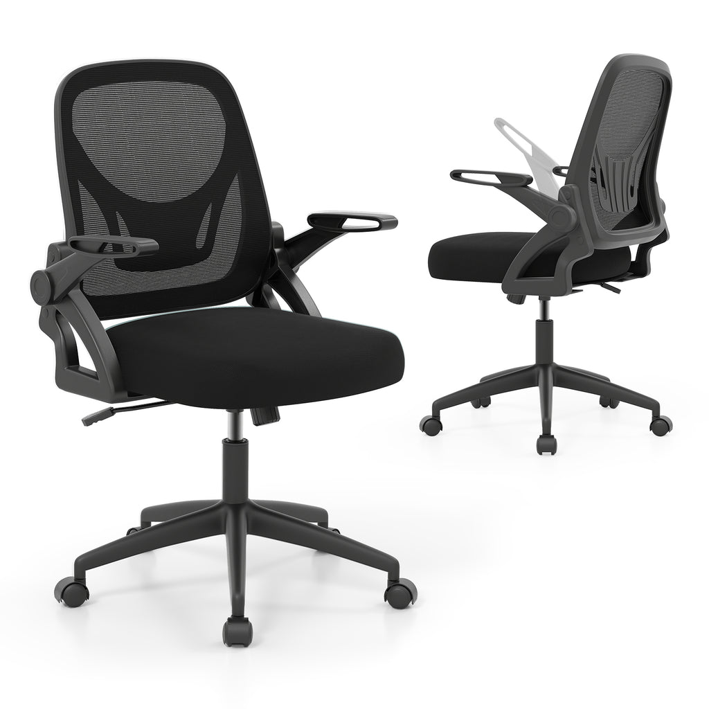 Ergonomic Computer Desk Chair with Lumbar Support and Flip-up Arms