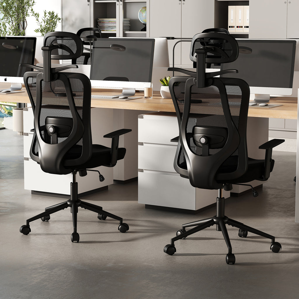 Ergonomic Office Chair with 3D Headrest and Reclining Backrest
