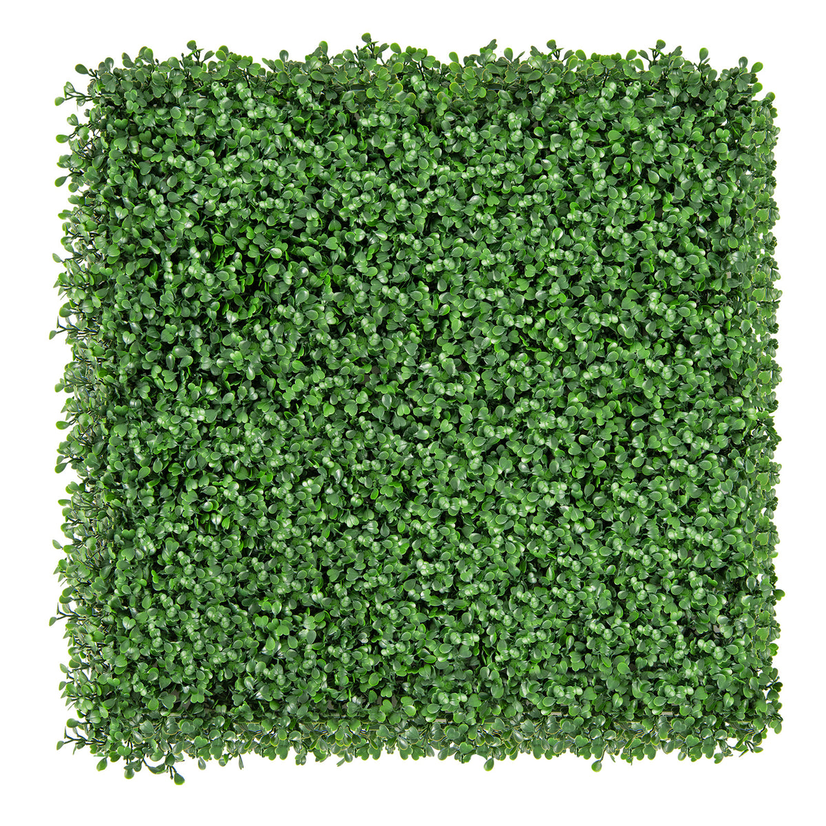 Boxwood Artificial Wall Panels - 20x20 Inch with Insertable Branches, Dense Foliage, Indoor Outdoor Use - Variation: Boxwood