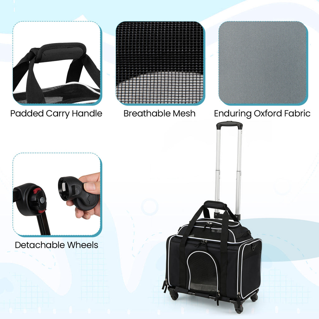 Black Foldable Pet Carrier with Wheels - Airline Approved Rolling Cat and Dog Carrier