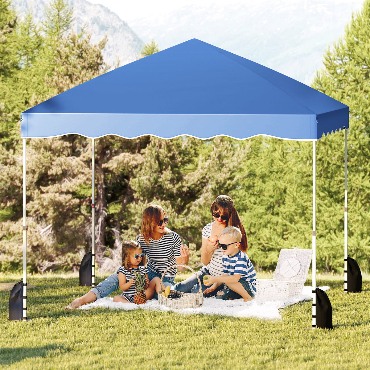 Foldable 10 X Feet Pop up Canopy Tent with Wheeled Bag