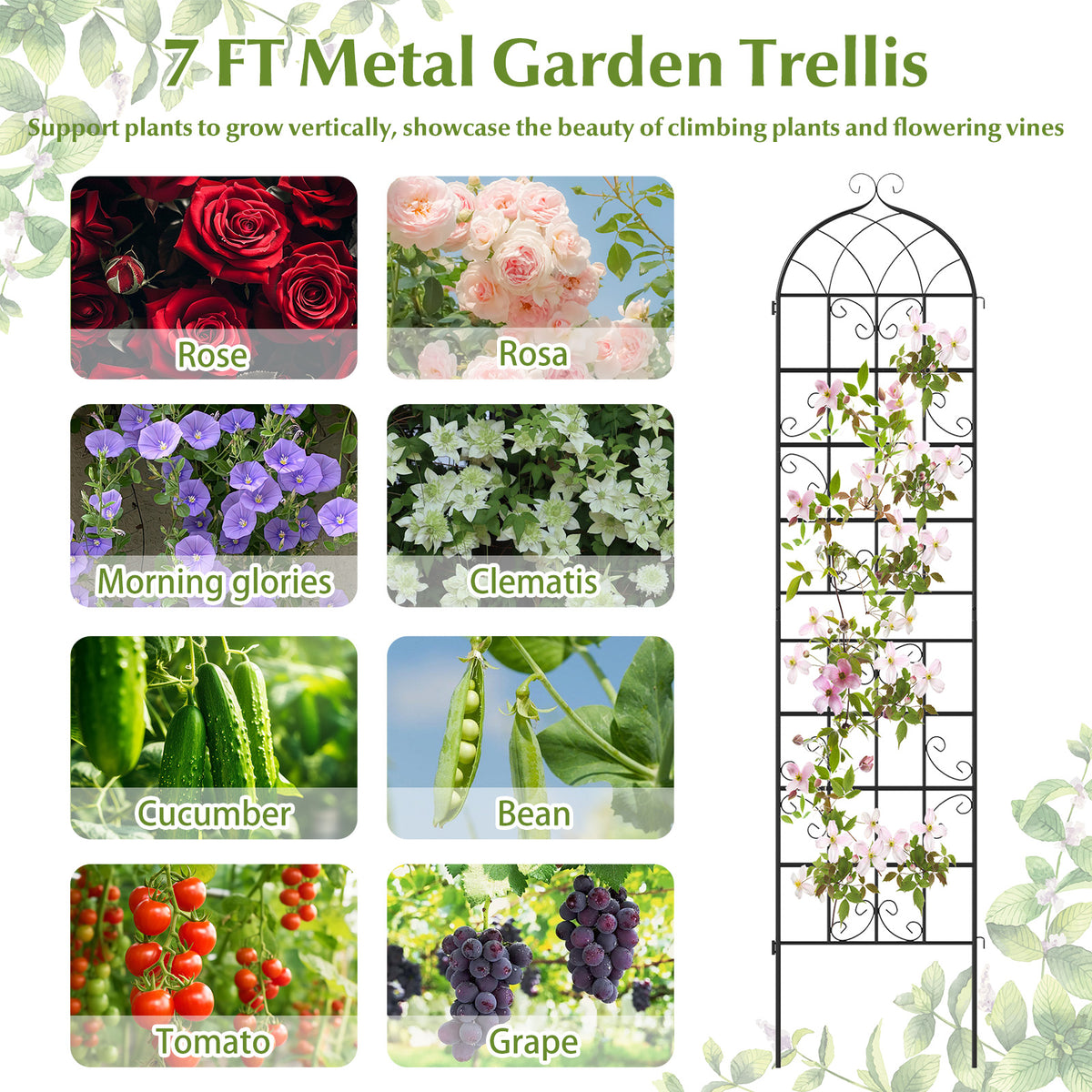Metal Garden Trellis 86" x 20" - 2 Pack