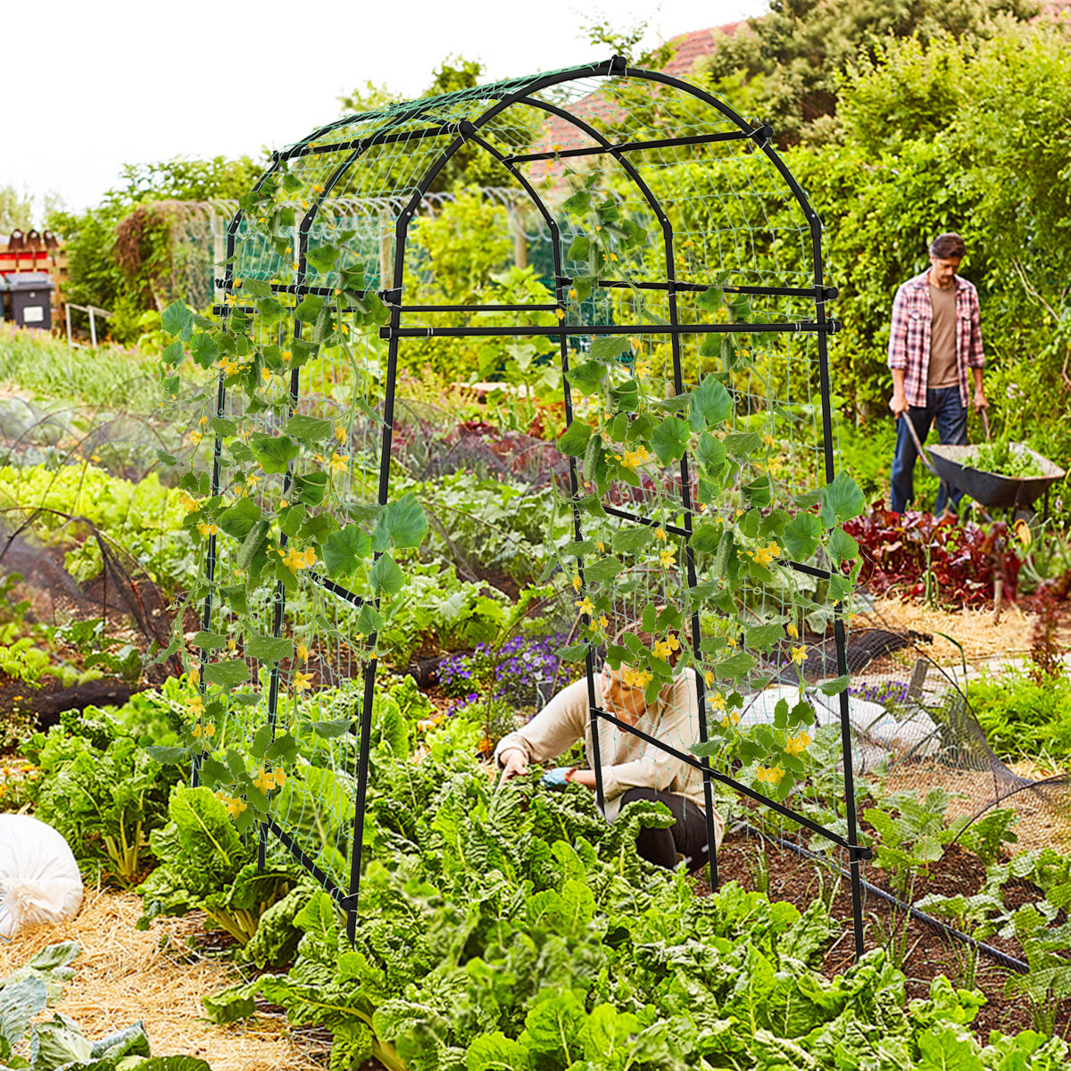 7.5 Ft Garden Arch Trellis - Anti-Rust Metal Structure