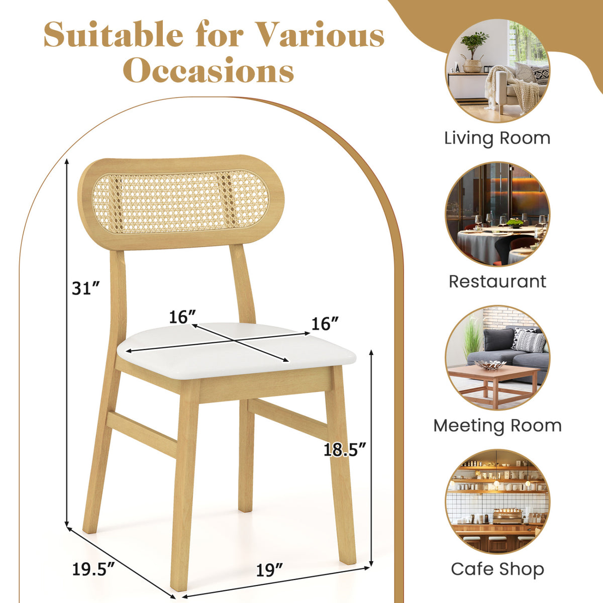 Dining Chair Set of 2, White - Mid Century Wood