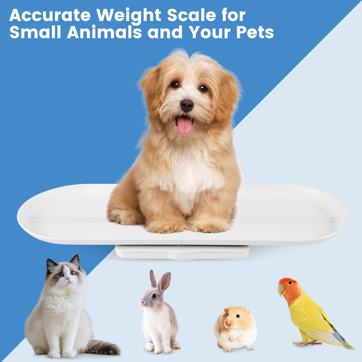 Infant & Baby Scale with Detachable Tray - Digital Height & Weight Measurement - White