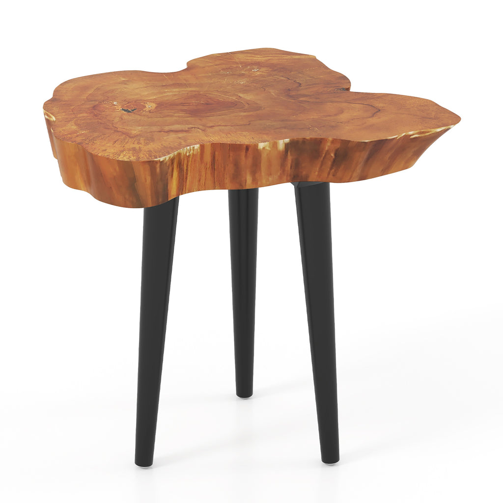 Teak Wood End Table with Mahogany Legs - Irregular Desktop