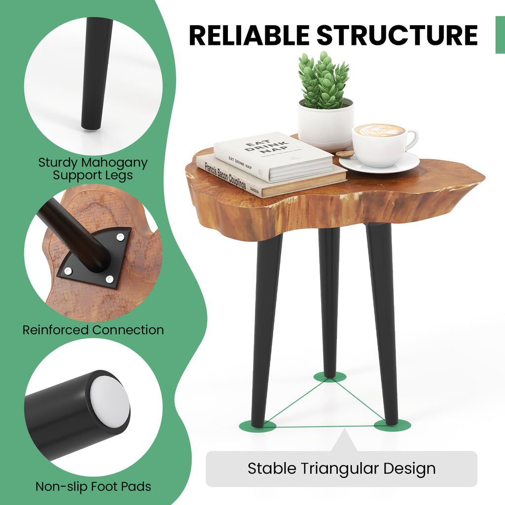 Teak Wood End Table with Mahogany Legs - Irregular Desktop