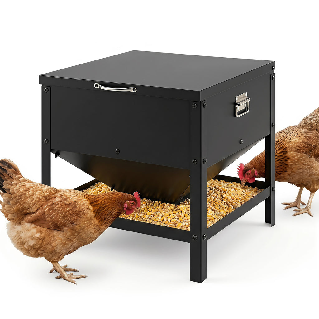 Large Capacity Chicken Feeder Box with Openable Lid - Outdoor Poultry Feed Container - Black Variation