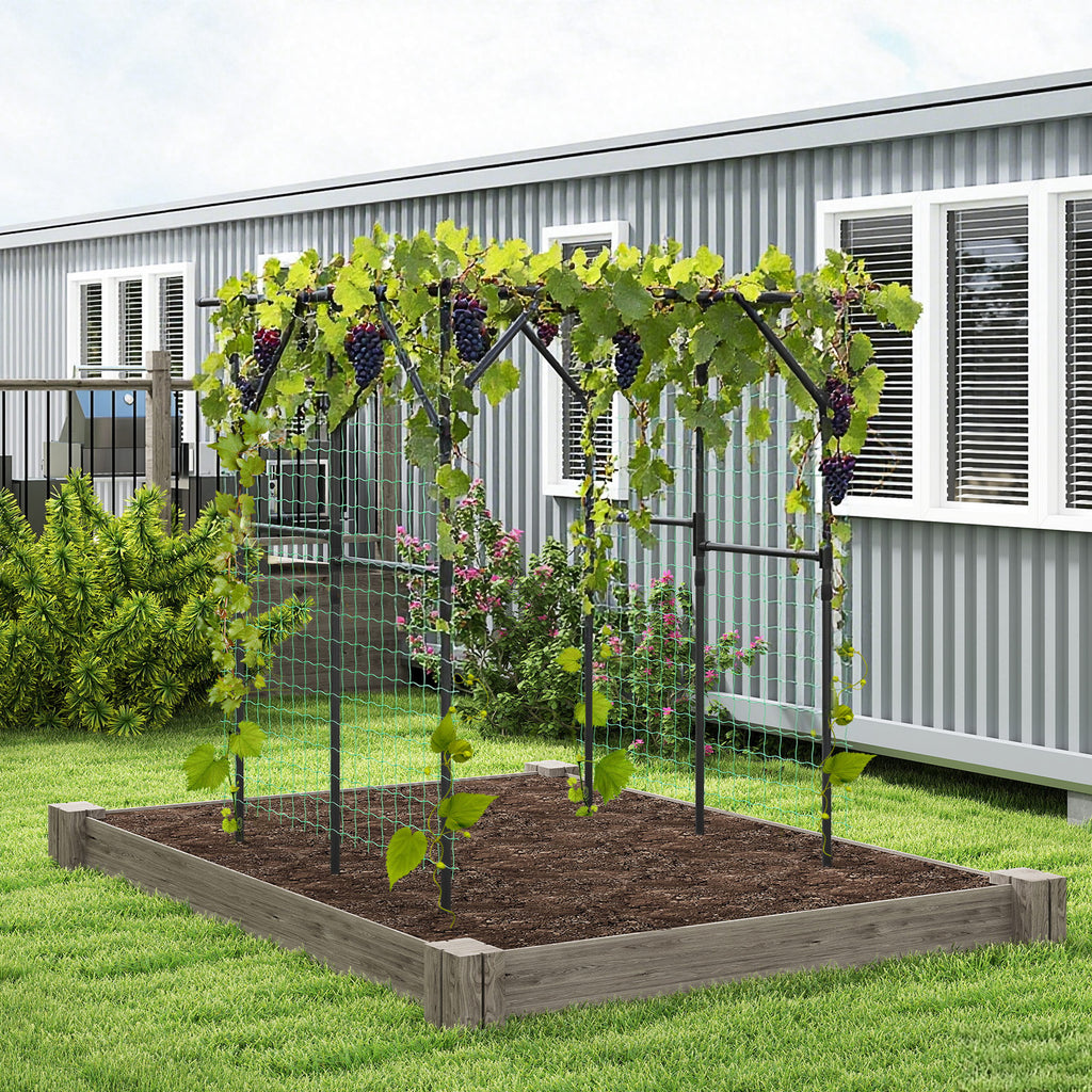 Large Garden Arch Trellis for Climbing Plants - Black
