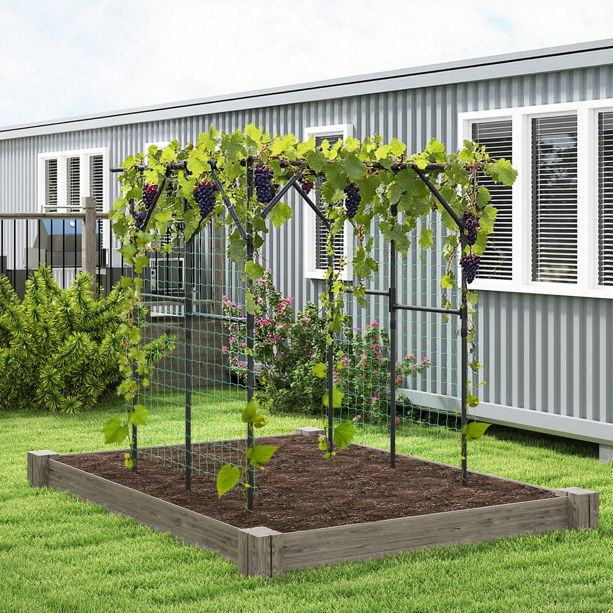 Large Garden Arch Trellis for Climbing Plants - Black