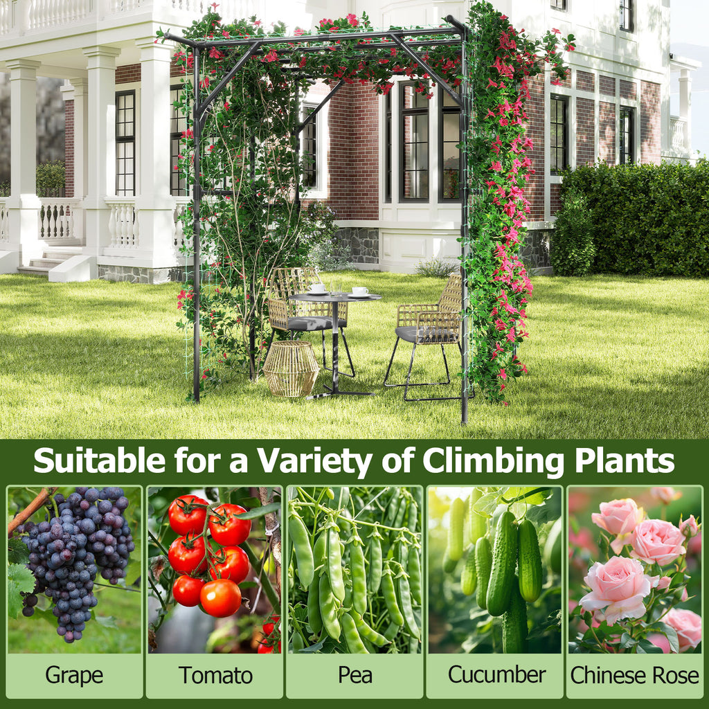 Large Garden Arch Trellis for Climbing Plants - Black