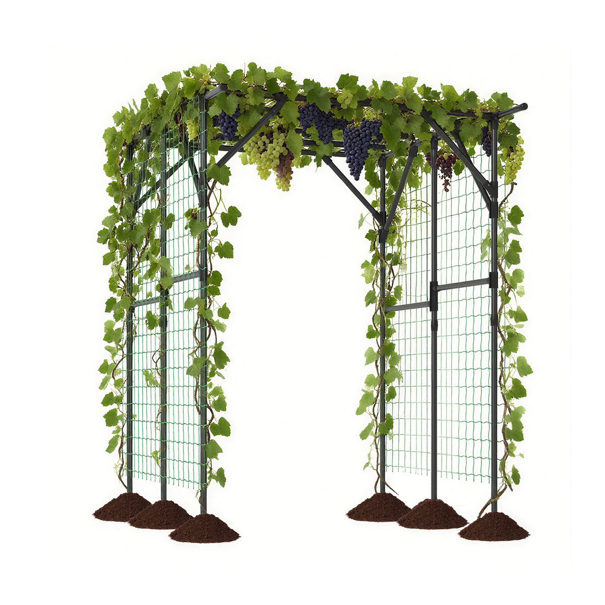 Large Garden Arch Trellis for Climbing Plants - Black