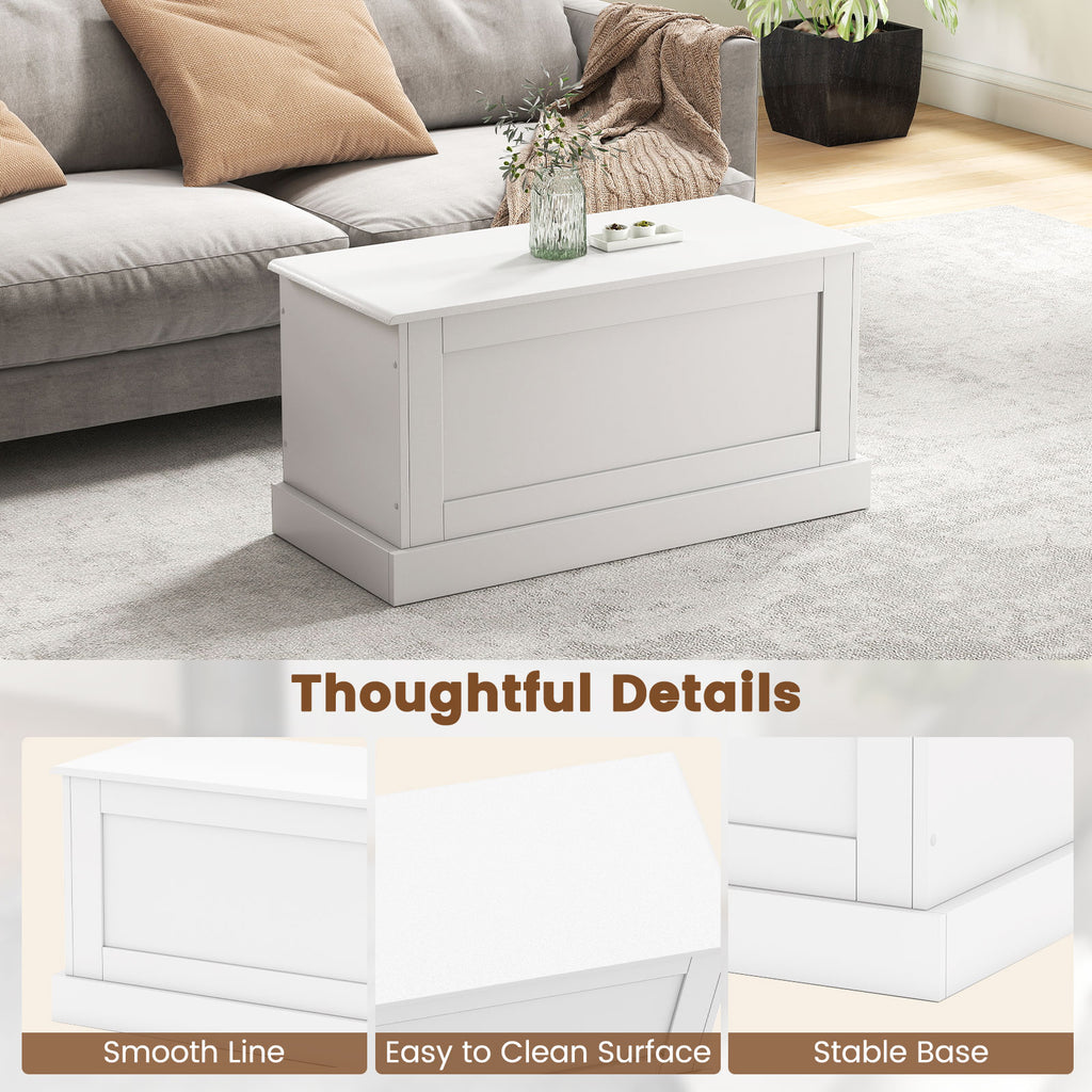 Large Storage Chest with Safety Metal Hinge