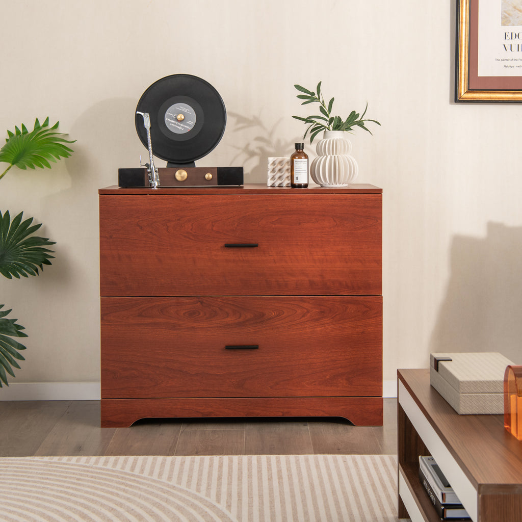 2-Drawer Lateral File Cabinet with Adjustable Hanging Bars for Home