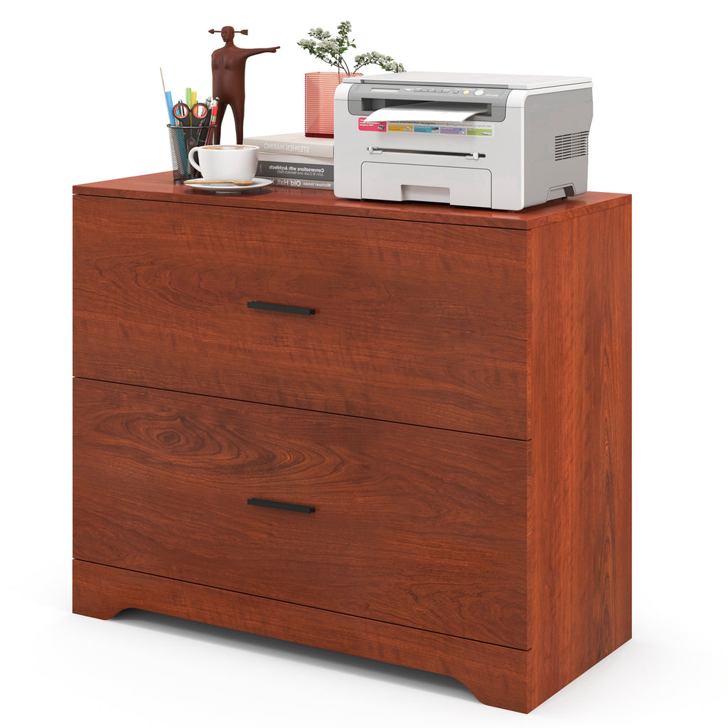 2-Drawer Lateral File Cabinet with Adjustable Hanging Bars for Home