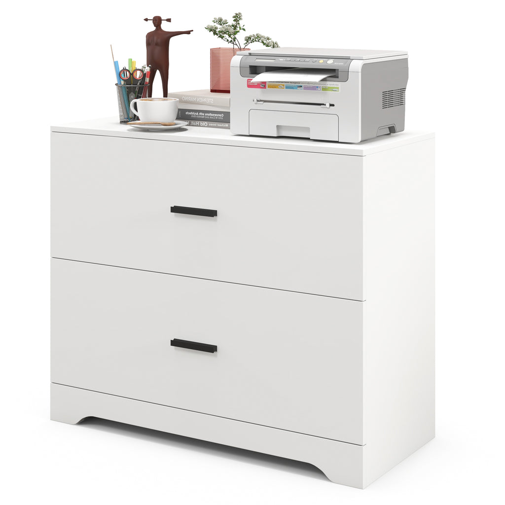 2-Drawer Lateral File Cabinet with Adjustable Hanging Bars for Home