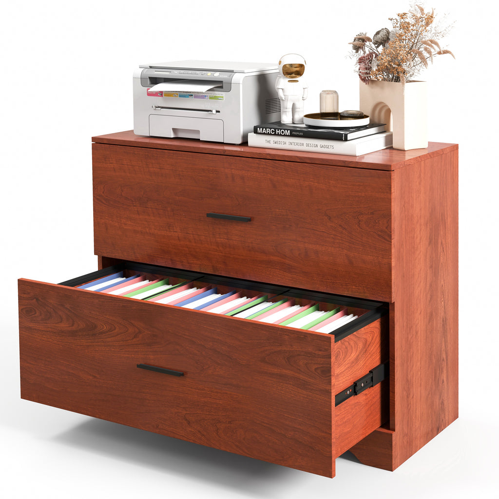 2-Drawer Lateral File Cabinet with Adjustable Hanging Bars for Home