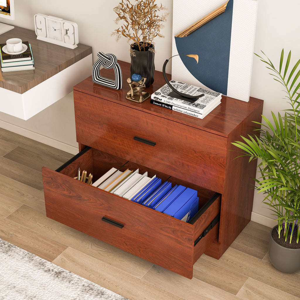 2-Drawer Lateral File Cabinet with Adjustable Hanging Bars for Home