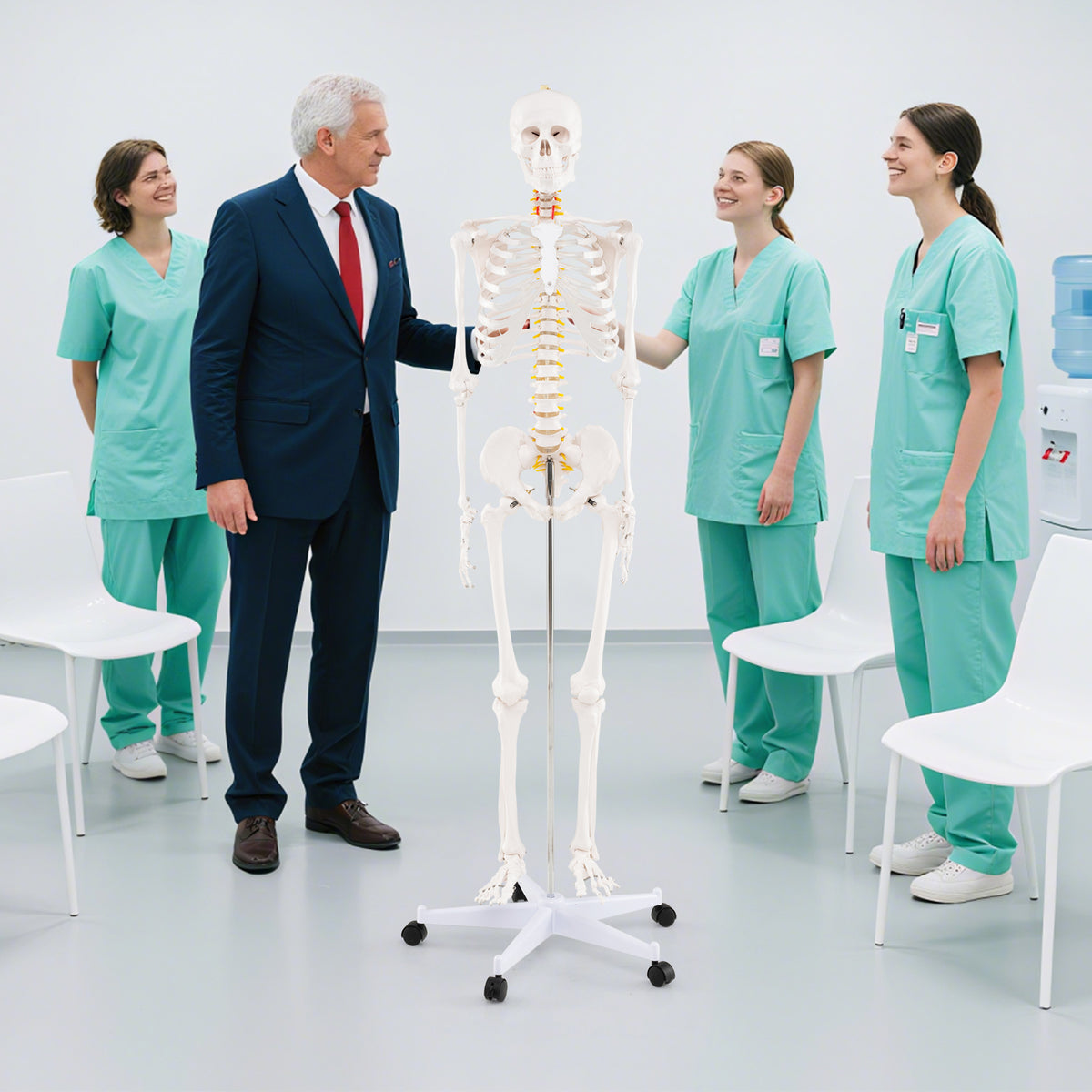 70.8 Inch Human Skeleton Model for Anatomy Education - Detachable Skull & Movable Joints - Skeleton Model Variation of THIS listing