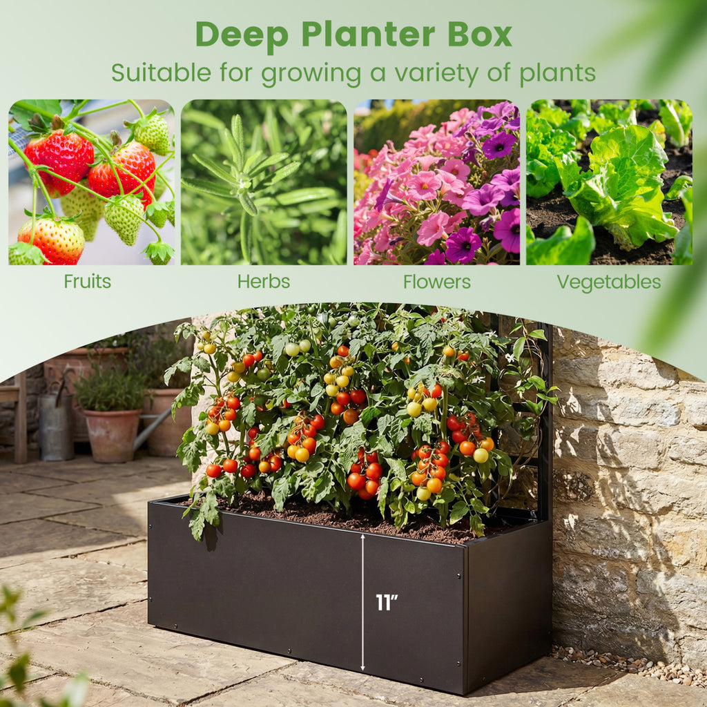 Metal Raised Garden Bed with Trellis and Drainage Holes for Climbing