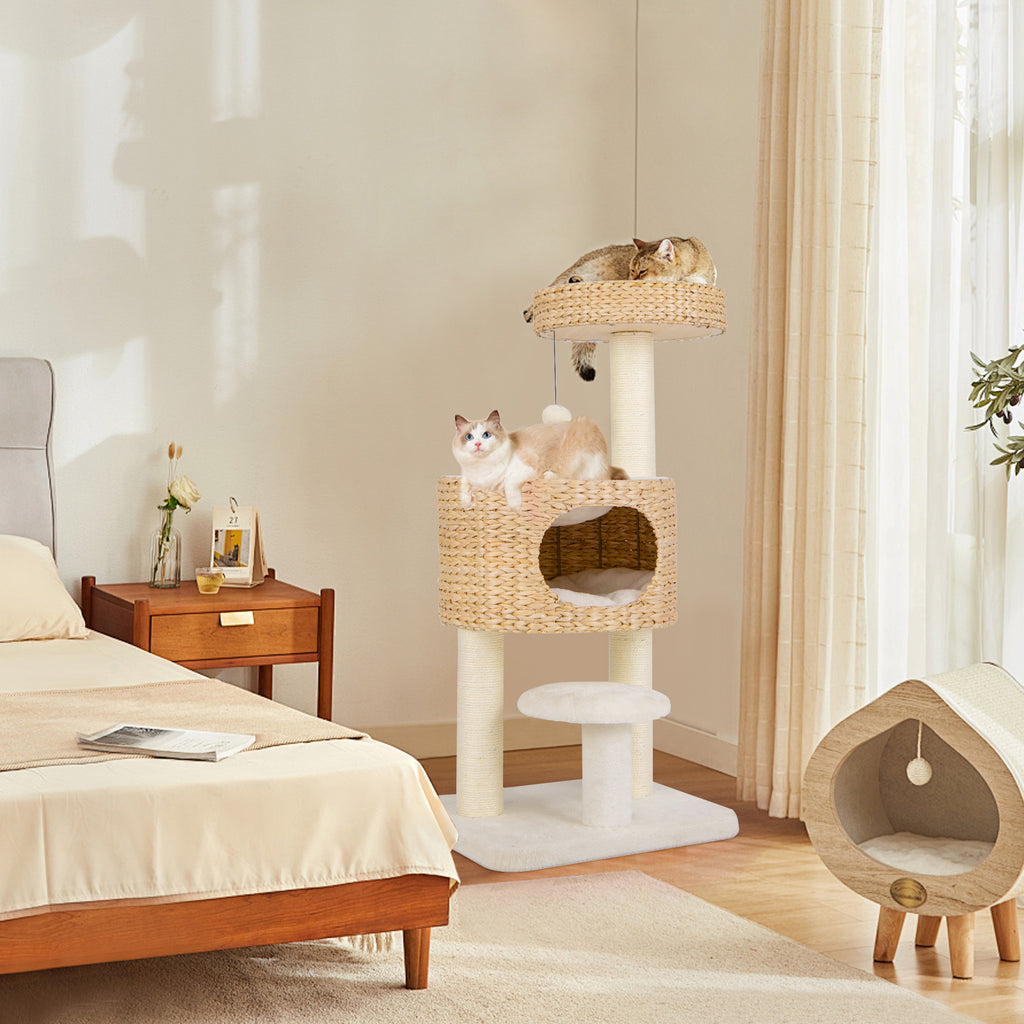 Modern Cat Tower Cat Tree with Top Perch & Cattail Fluff Condo - Natural Variation