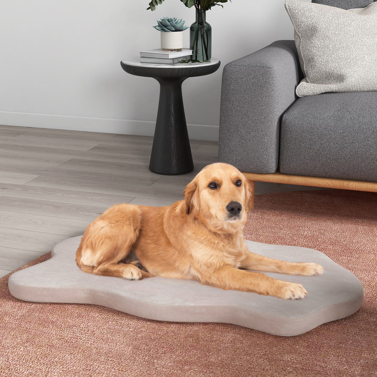 Orthopedic Dog Bed with Memory Foam Support - Large Dogs, Soft Crystal Fabric Beige